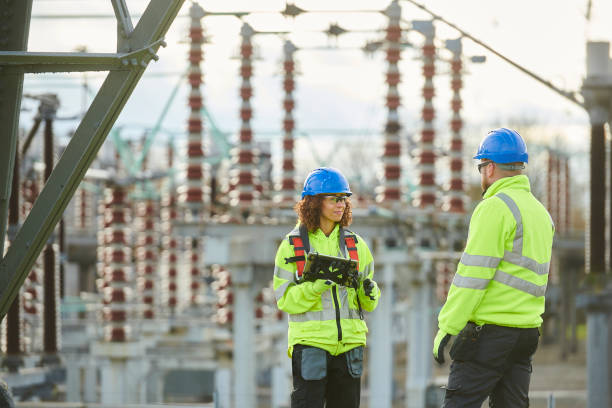 Best Electric Panel Repair  in Shoshone, ID